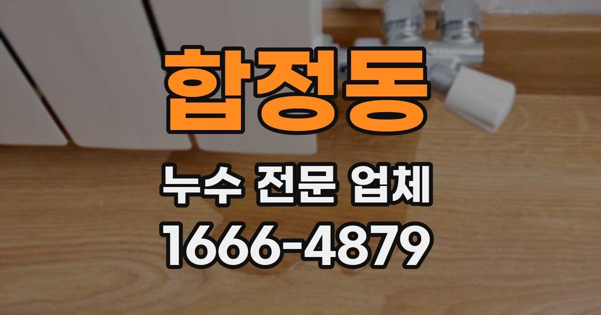 합정동 누수 전문 업체
