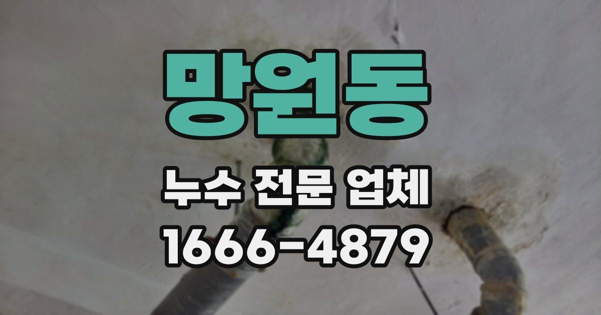 망원동 누수 전문 업체