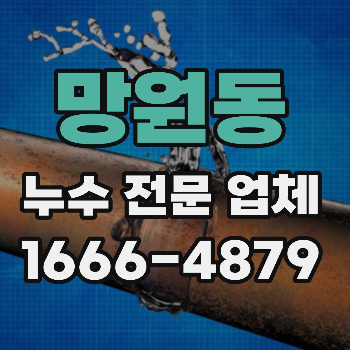 망원동 누수 전문 업체