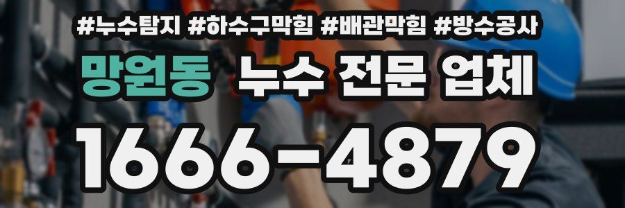 망원동 누수 전문 업체
