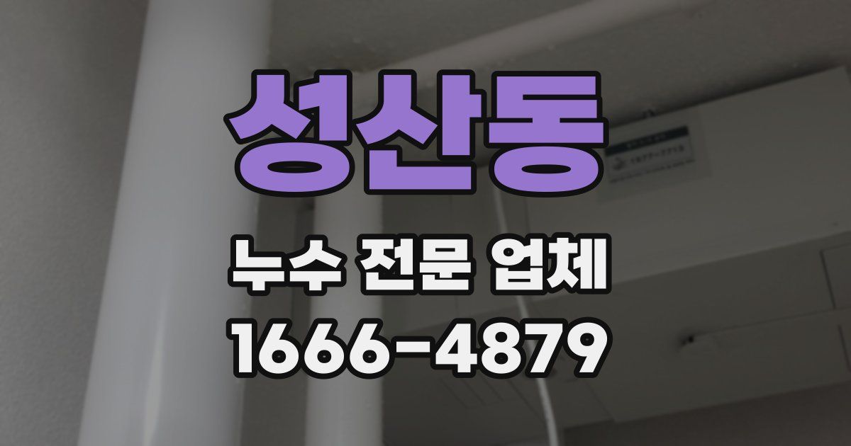 성산동 누수 전문 업체