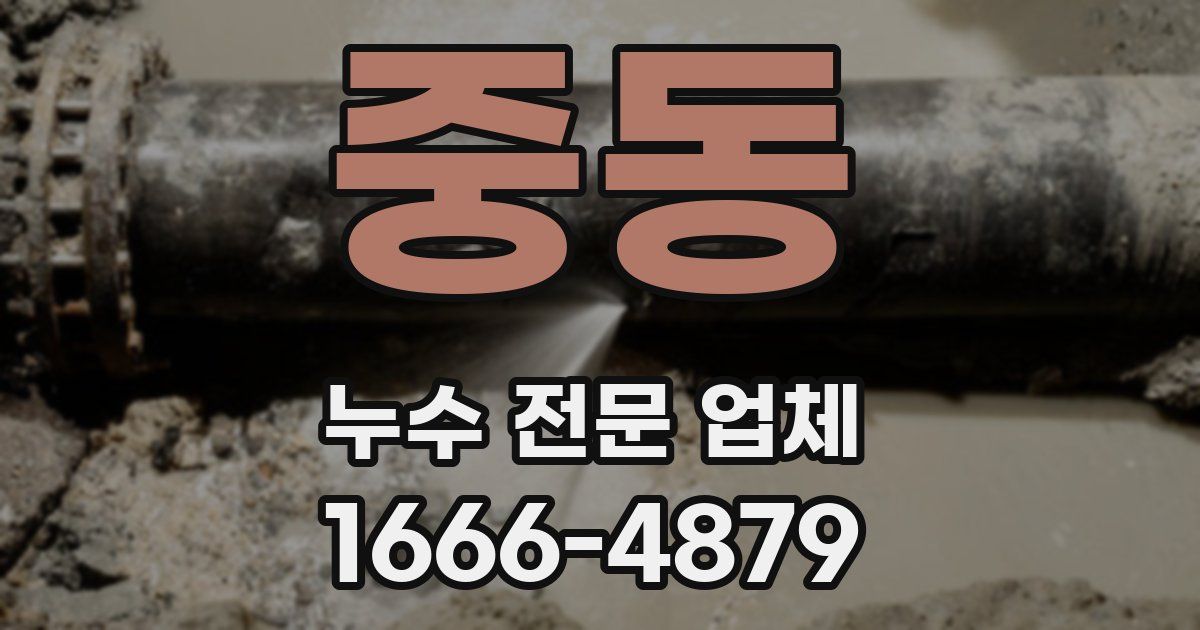 중동 누수 전문 업체