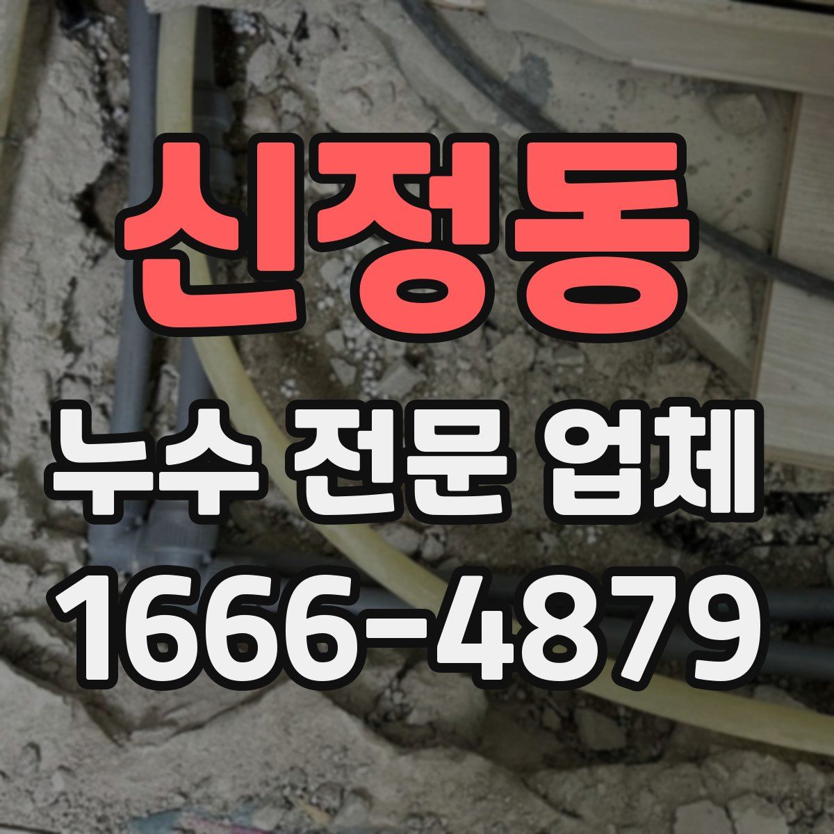 신정동 누수 전문 업체