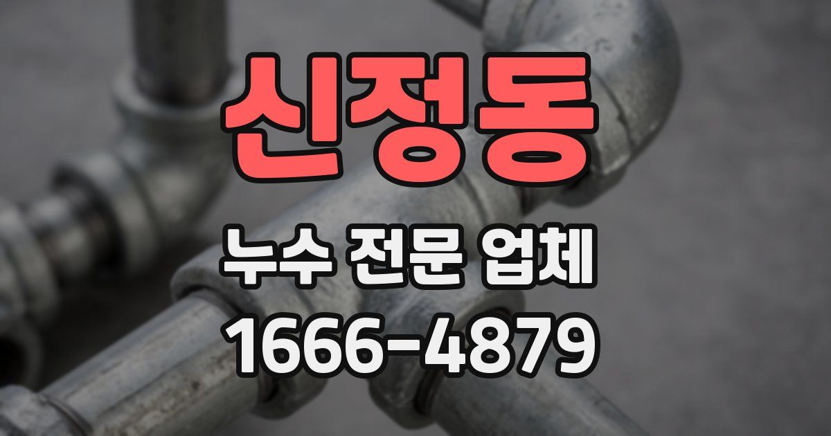 신정동 누수 전문 업체