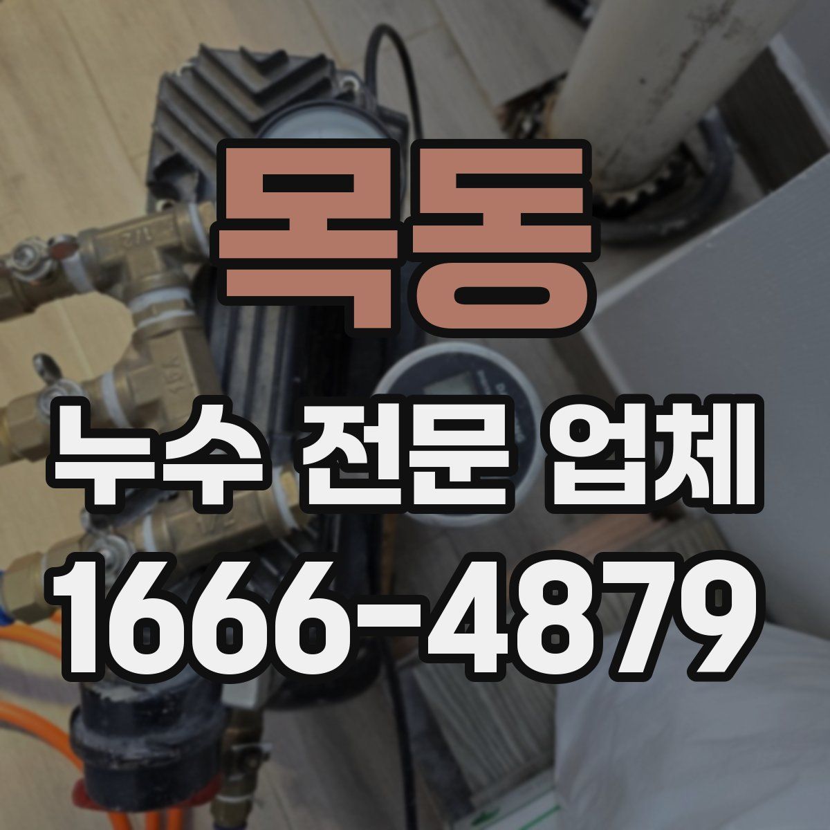목동 누수 전문 업체