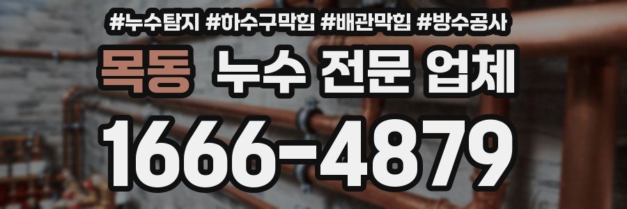 목동 누수 전문 업체