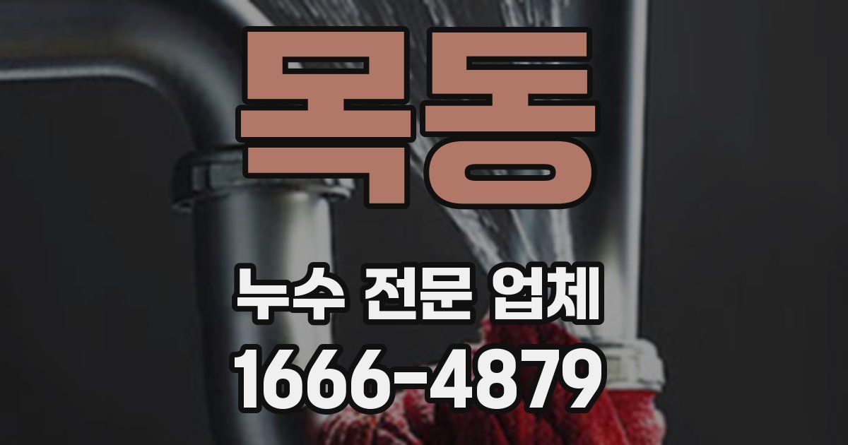 목동 누수 전문 업체