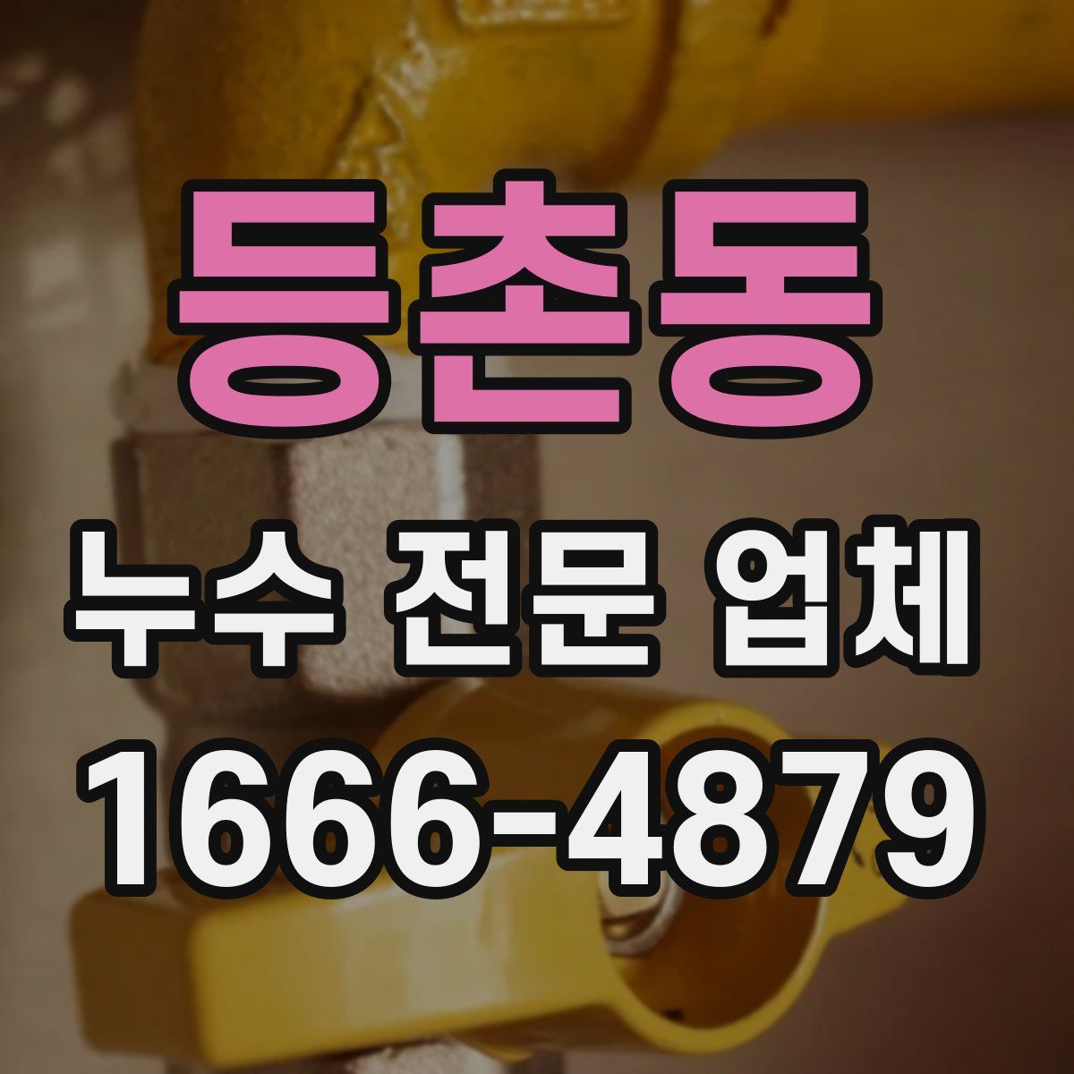 등촌동 누수 전문 업체