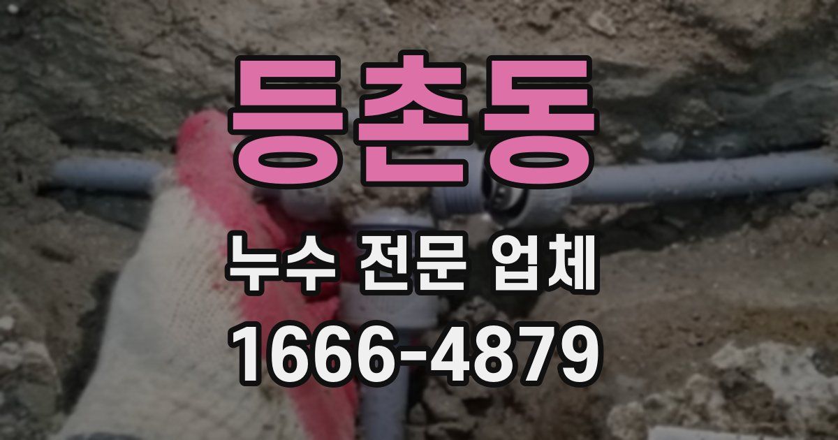 등촌동 누수 전문 업체