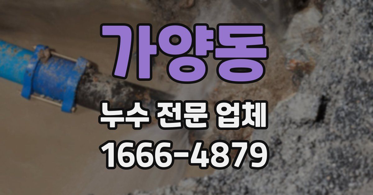 가양동 누수 전문 업체