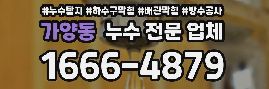 가양동 누수 전문 업체
