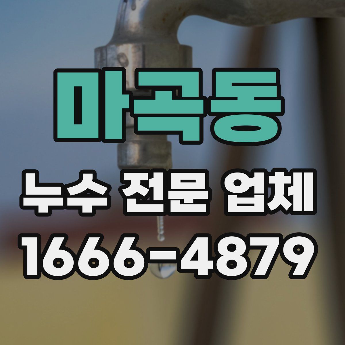 마곡동 누수 전문 업체