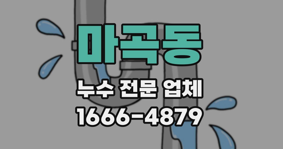 마곡동 누수 전문 업체