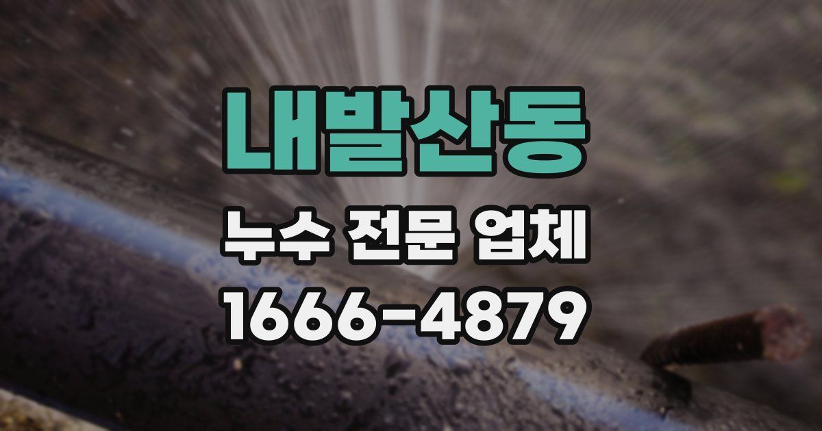 내발산동 누수 전문 업체