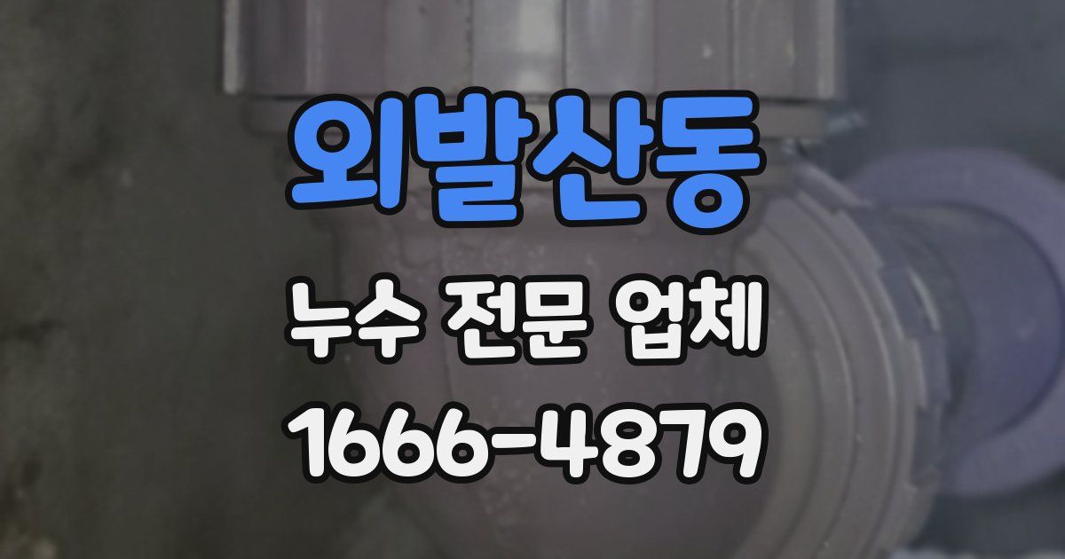 외발산동 누수 전문 업체