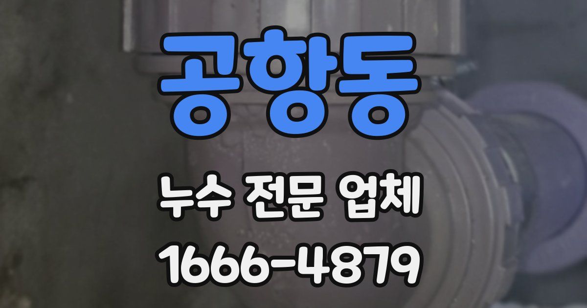 공항동 누수 전문 업체