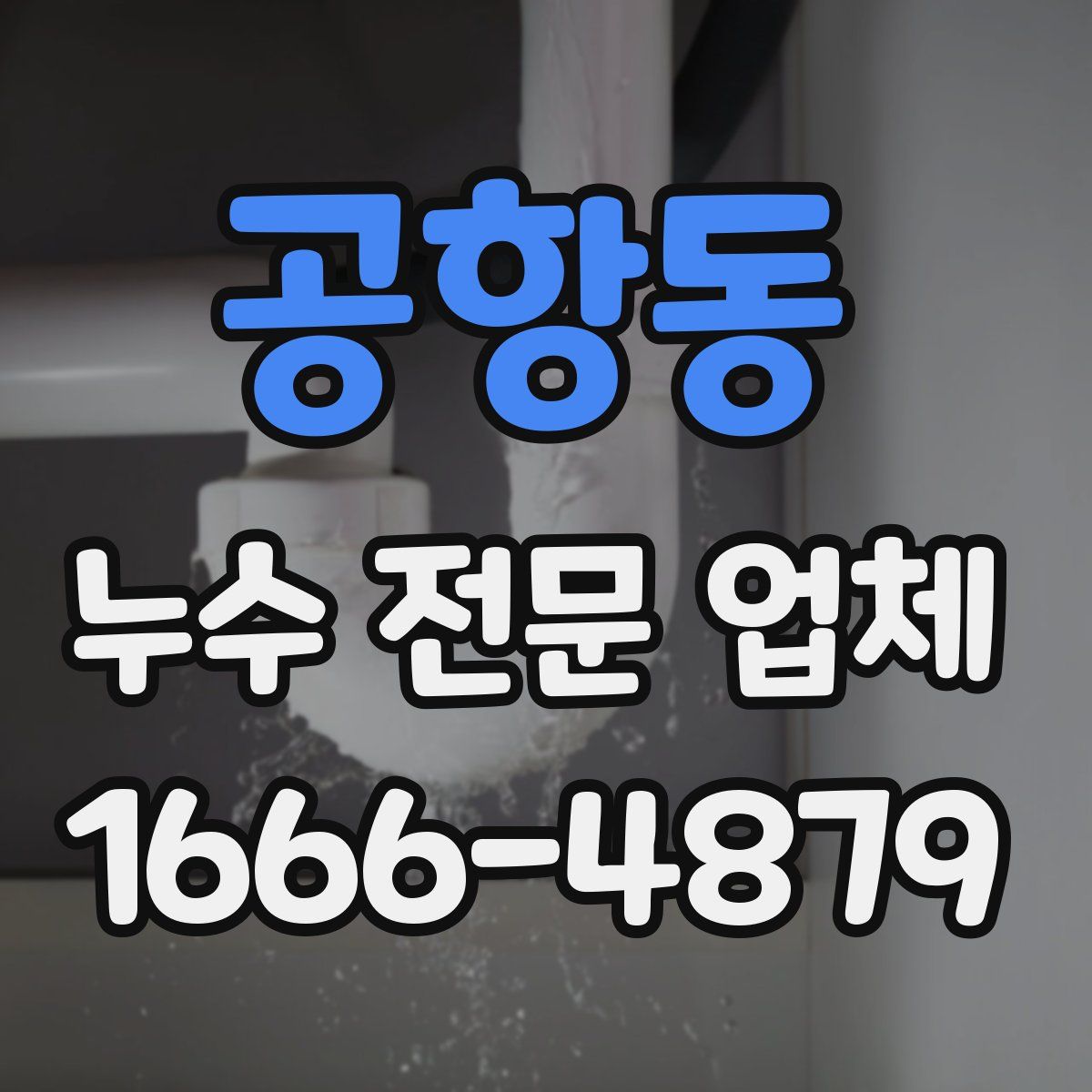 공항동 누수 전문 업체