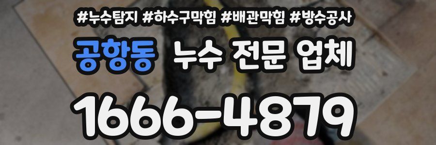 공항동 누수 전문 업체
