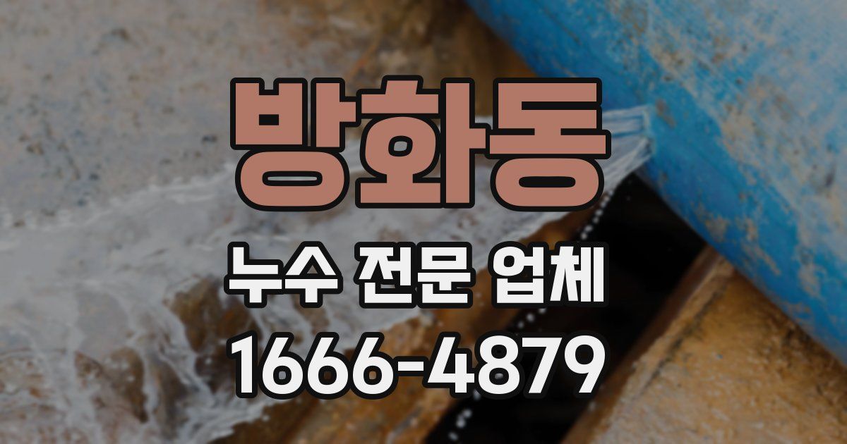 방화동 누수 전문 업체