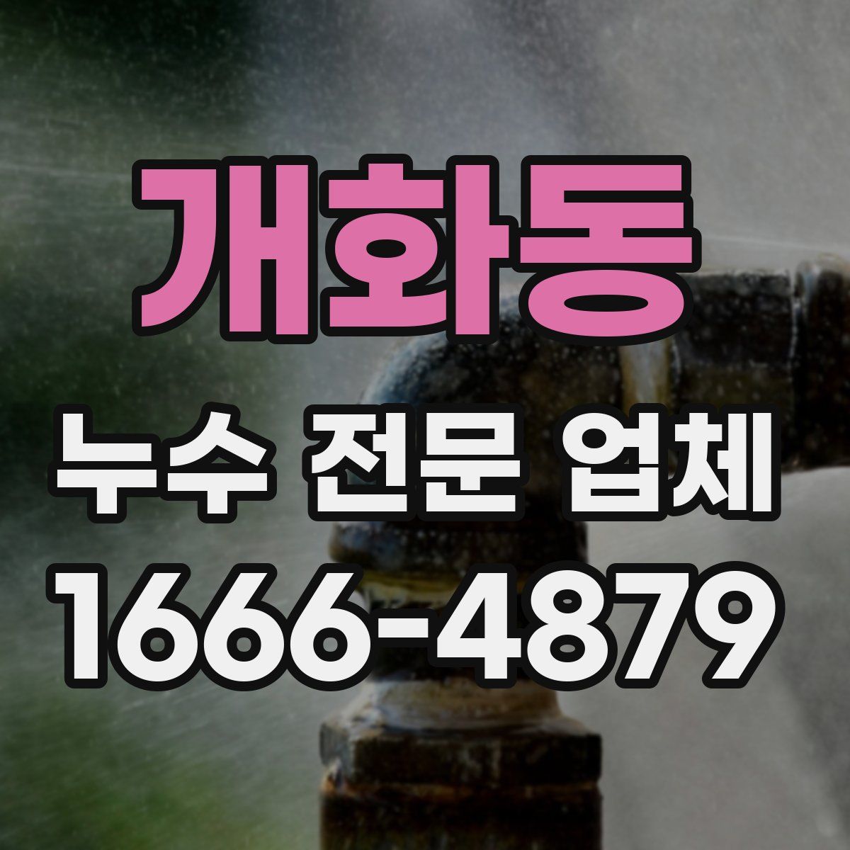 개화동 누수 전문 업체
