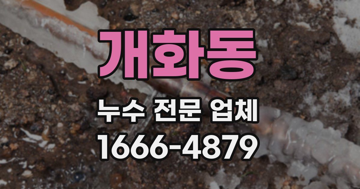 개화동 누수 전문 업체