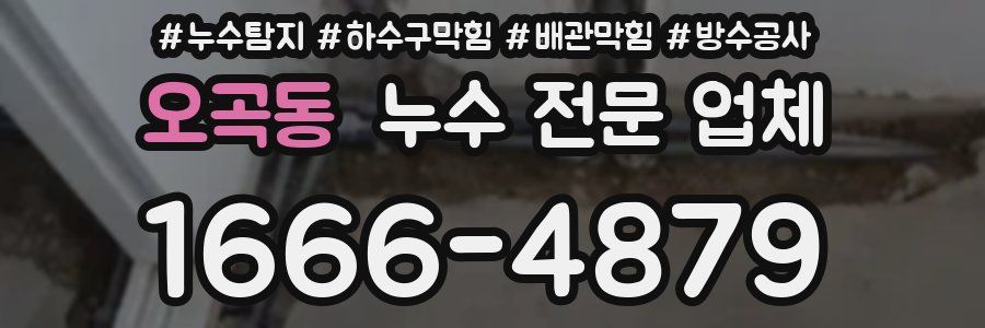 오곡동 누수 전문 업체