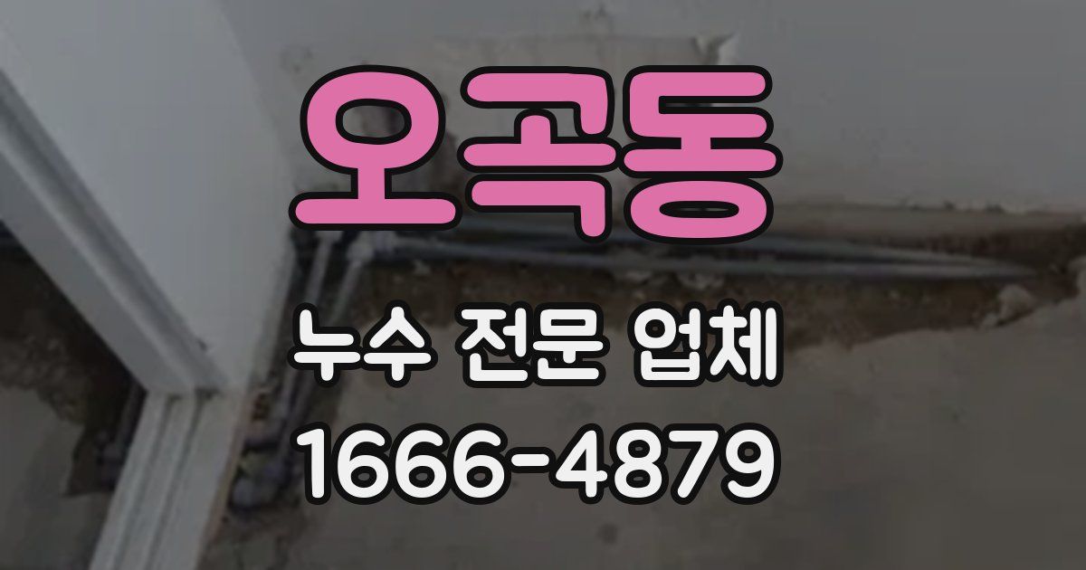 오곡동 누수 전문 업체