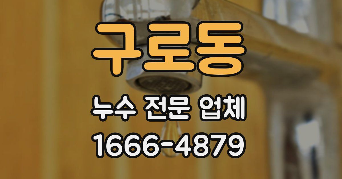 구로동 누수 전문 업체