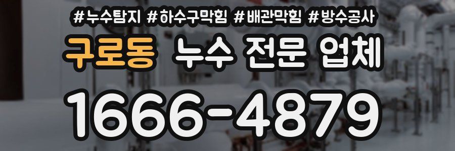 구로동 누수 전문 업체
