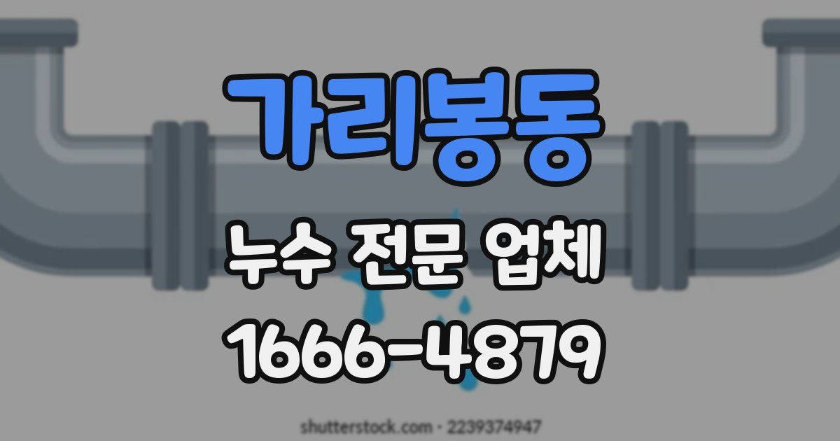 가리봉동 누수 전문 업체