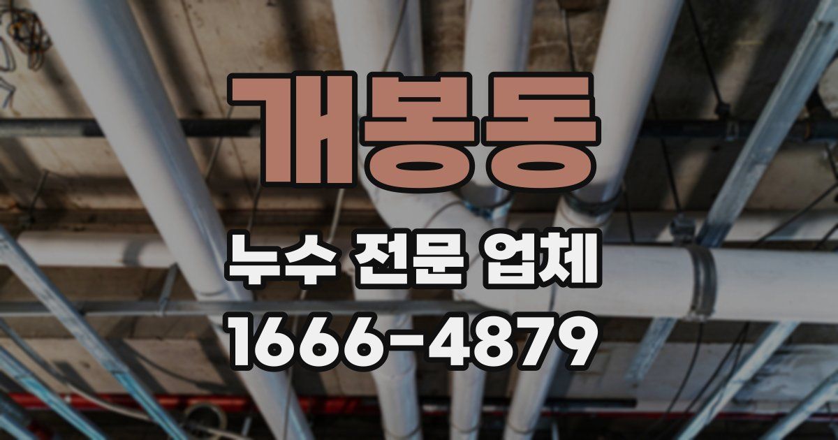 개봉동 누수 전문 업체