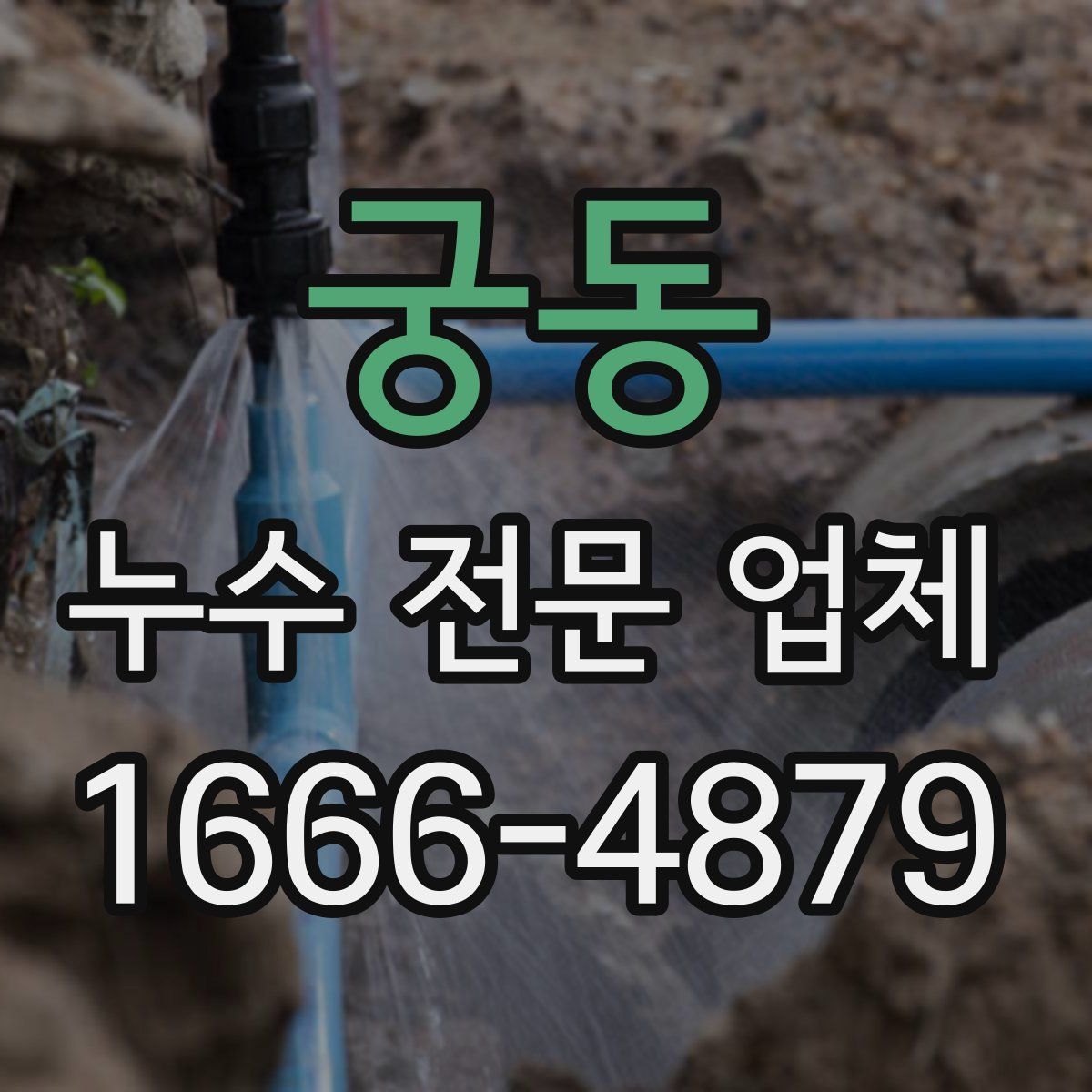 궁동 누수 전문 업체