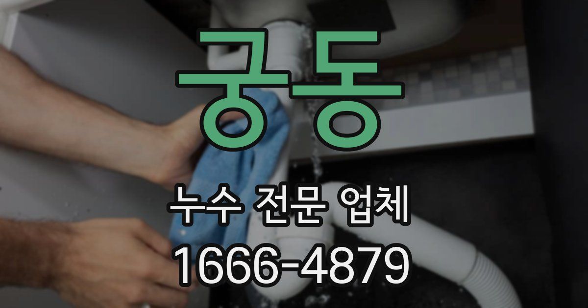 궁동 누수 전문 업체