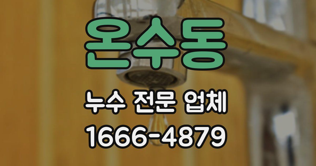온수동 누수 전문 업체