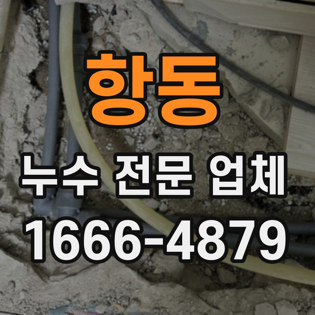 항동 누수 전문 업체