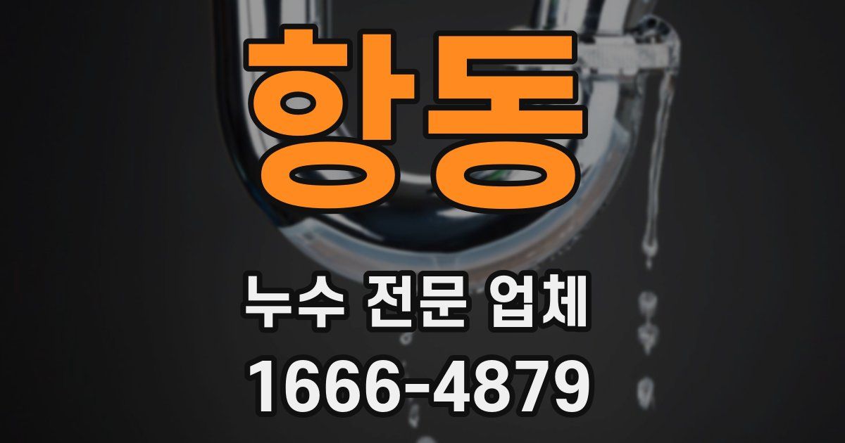 항동 누수 전문 업체
