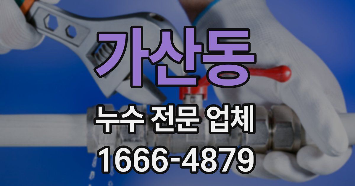 가산동 누수 전문 업체
