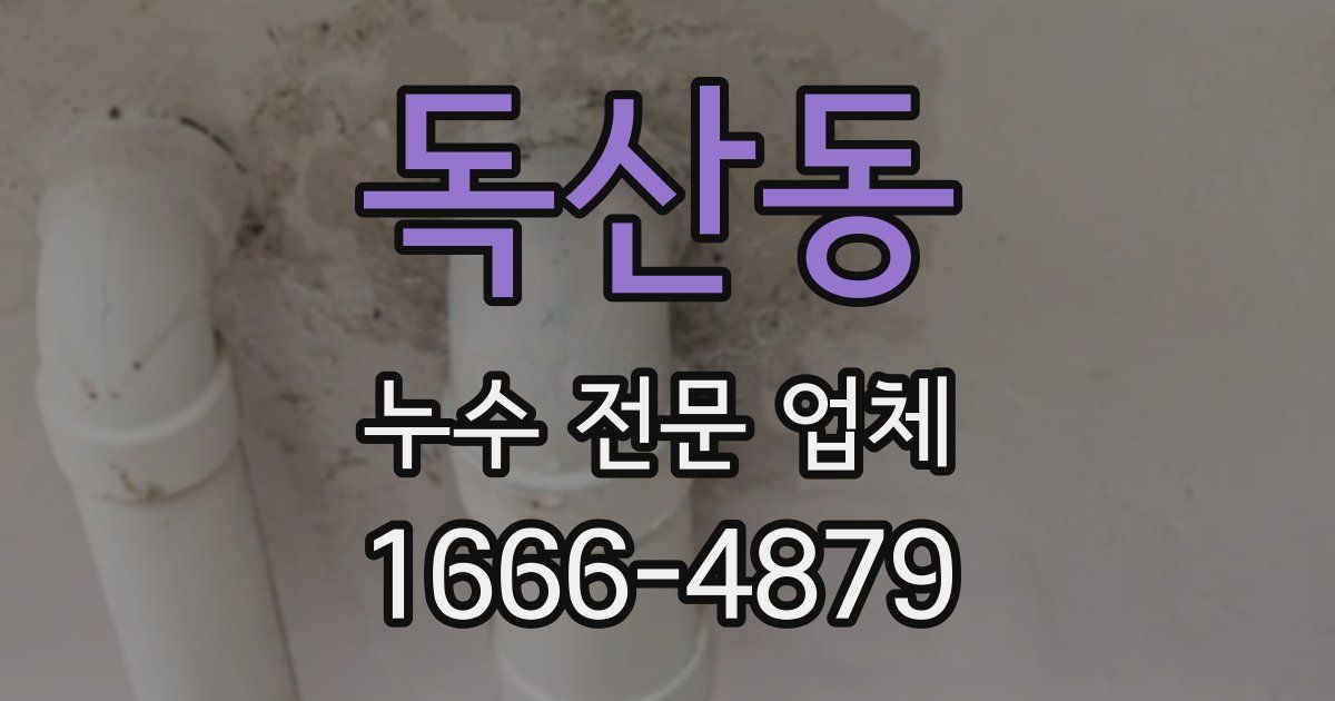 독산동 누수 전문 업체