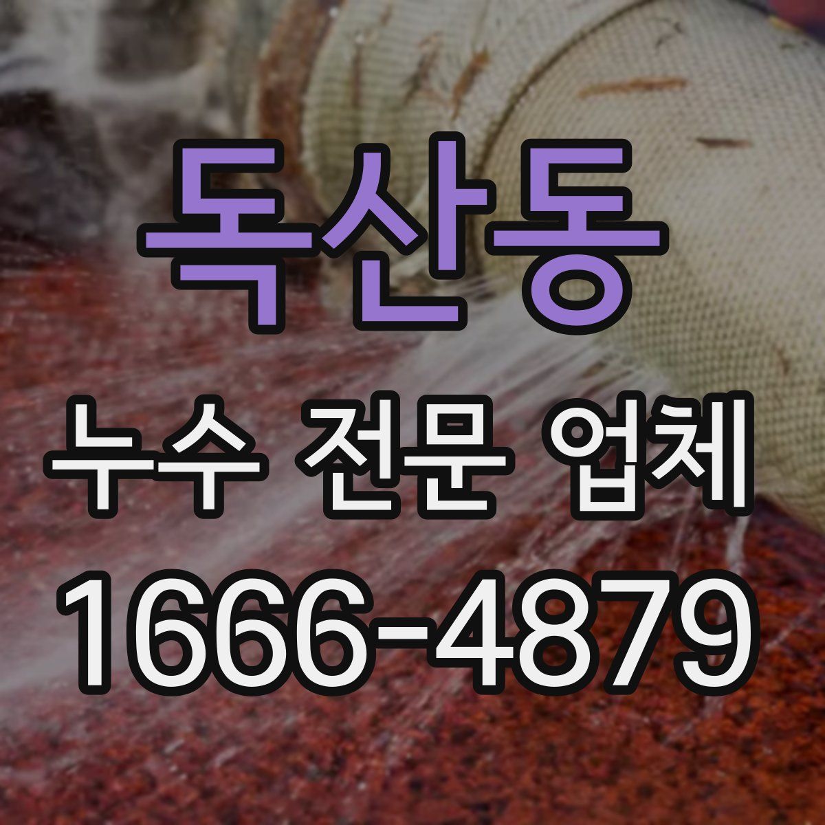 독산동 누수 전문 업체