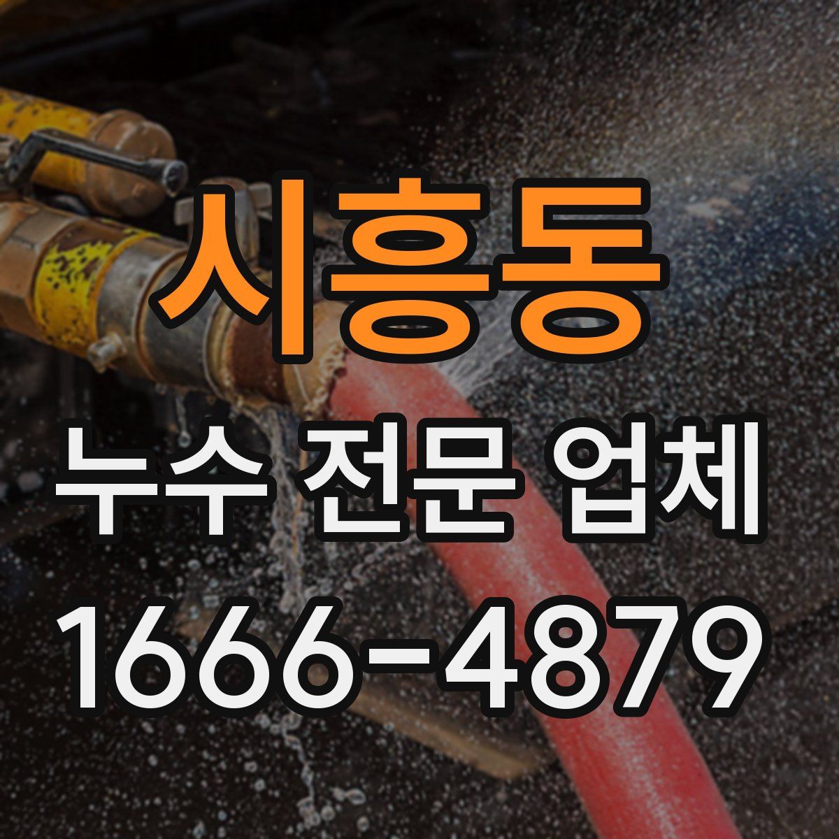 시흥동 누수 전문 업체