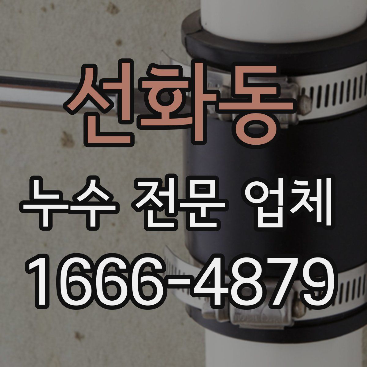 선화동 누수 전문 업체