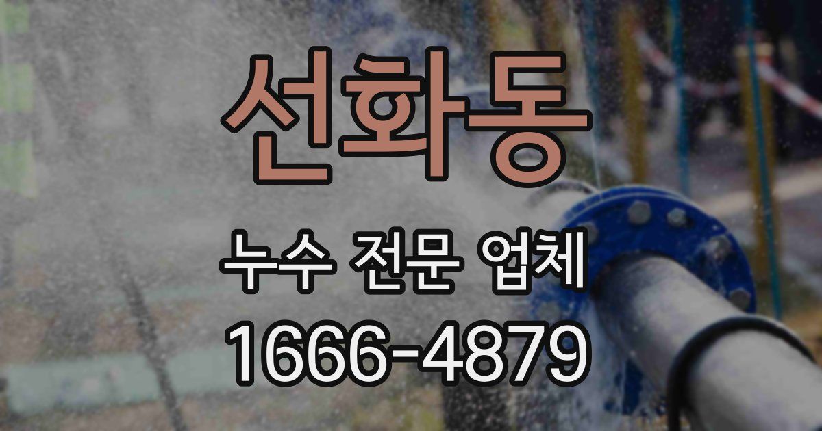 선화동 누수 전문 업체