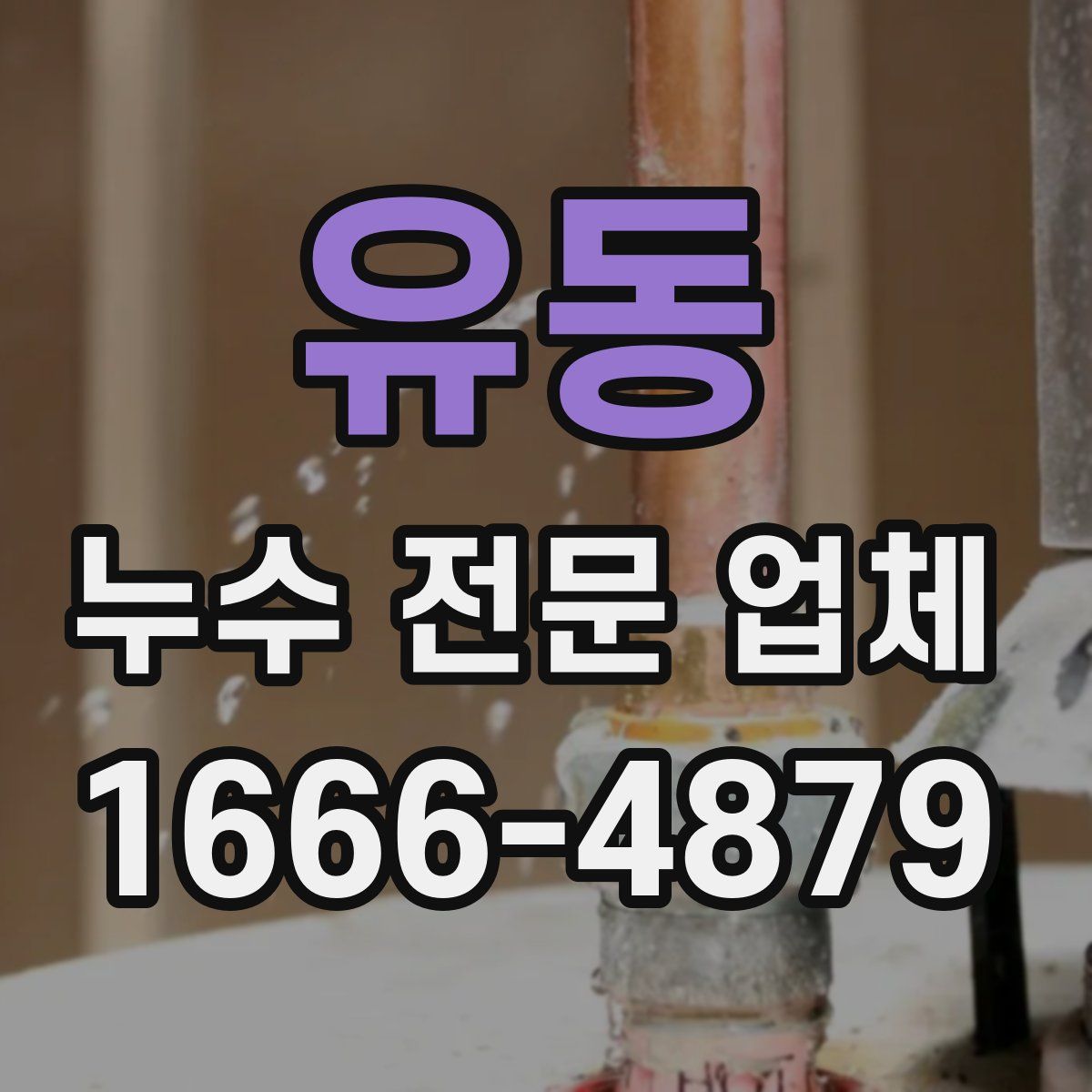 유동 누수 전문 업체