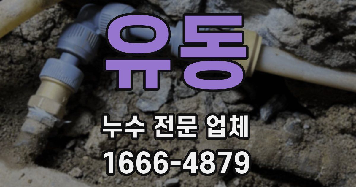 유동 누수 전문 업체