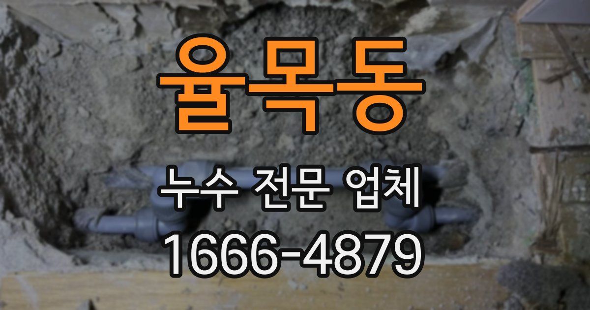 율목동 누수 전문 업체
