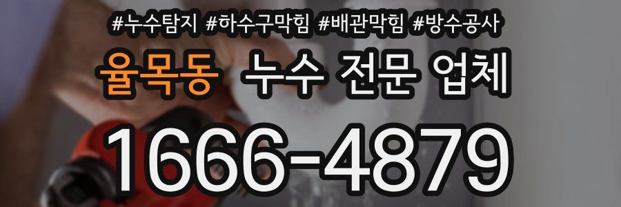율목동 누수 전문 업체