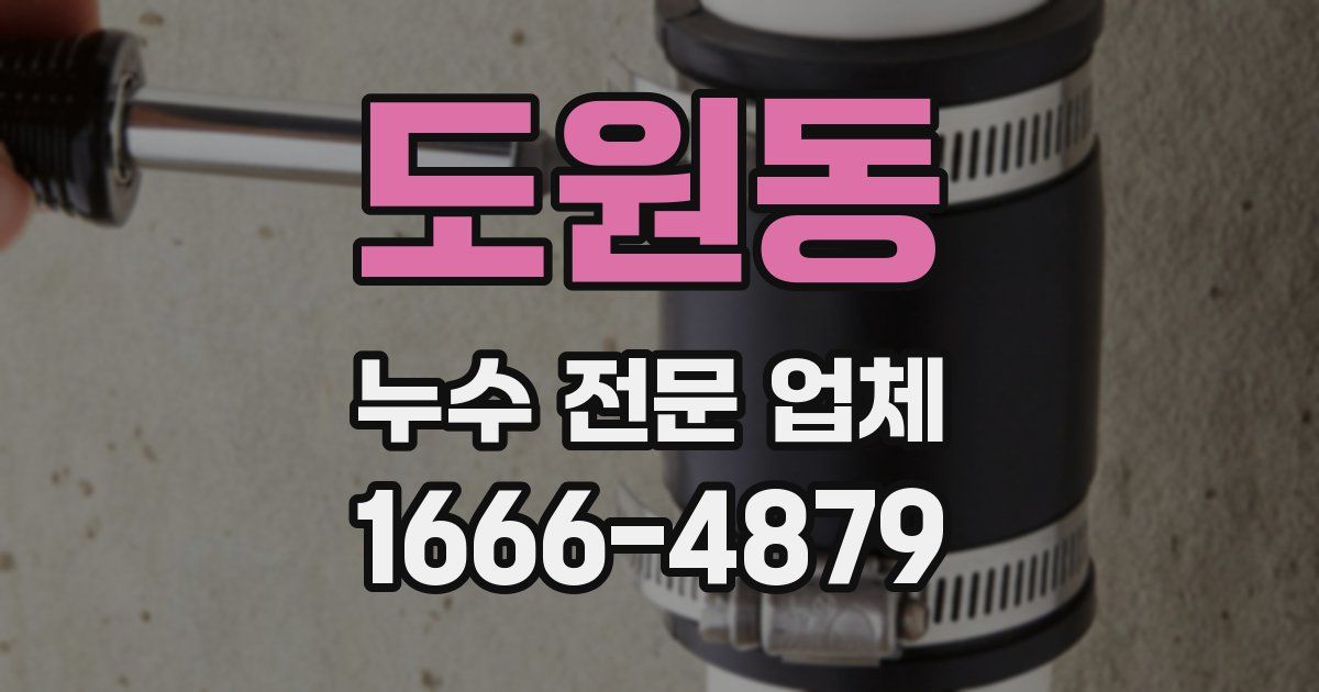 도원동 누수 전문 업체