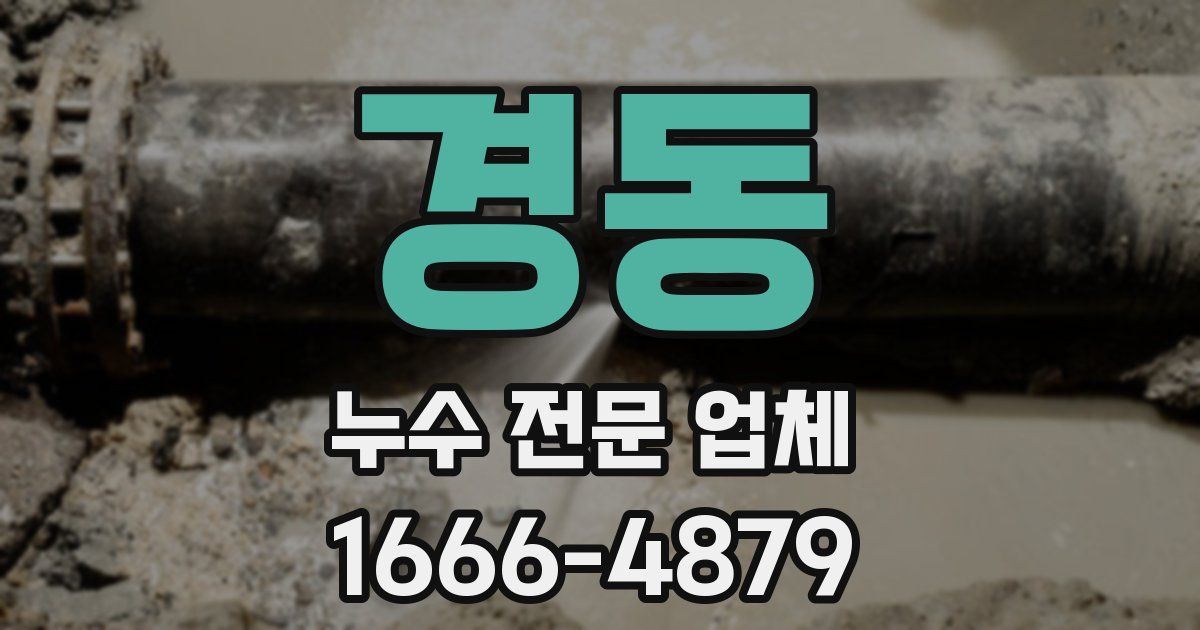 경동 누수 전문 업체