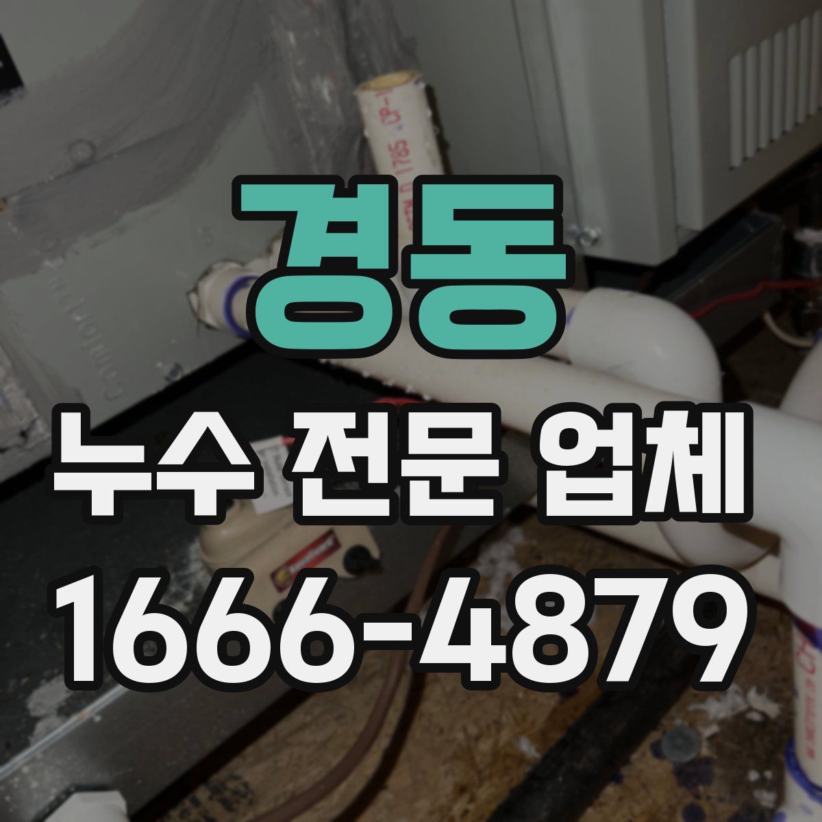 경동 누수 전문 업체