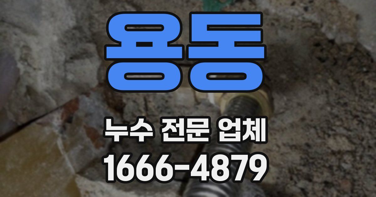 용동 누수 전문 업체